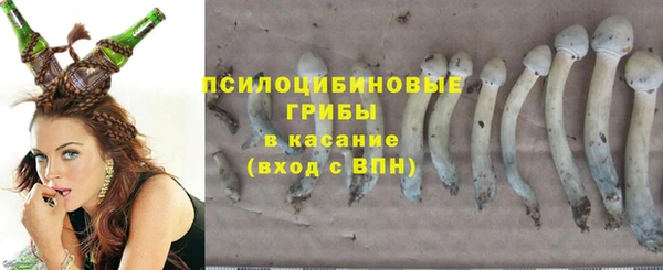 стафф Лиски